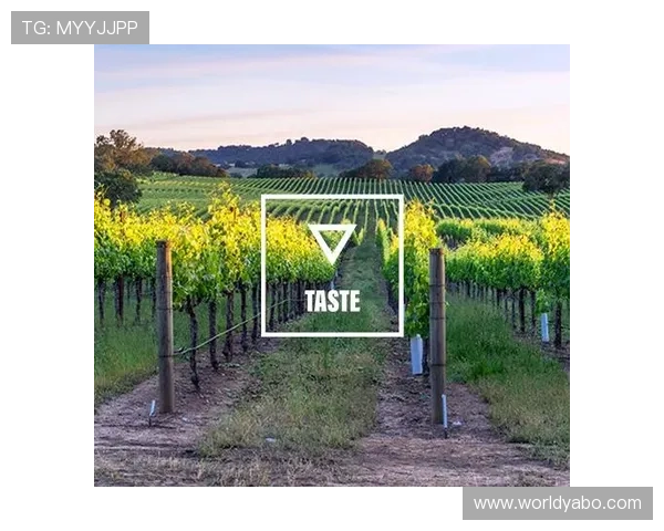 亚博体育国际官网入口：最新版本下载与常见问题解决方案详解