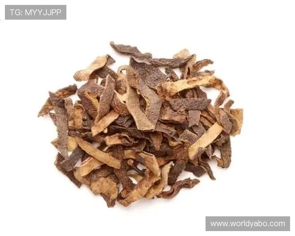 亚搏软件：用户使用体验分享与常见问题解决方案汇总